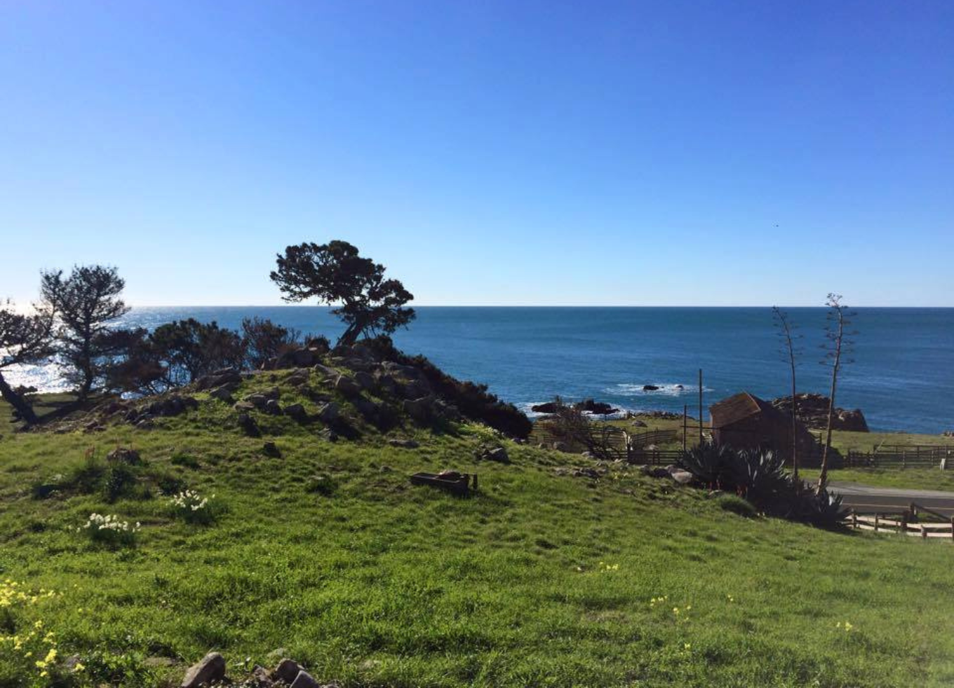 A farm on Kashia Tree coast with the sea in the background.