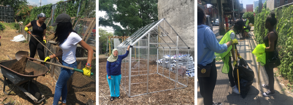 Clean up activities in community gardens, composting and building a greenhouse